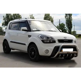RVS bullbar foto 3