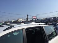 Volkswagen Sharan 2010–2023 Dakrails chroom (Turks design) foto 3