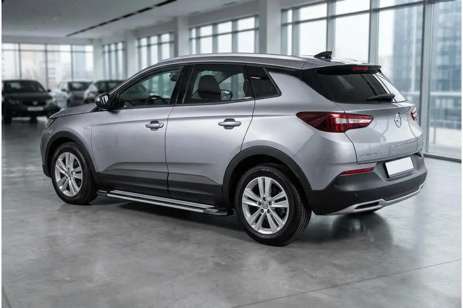 Opel Grandland X 2017– Rainbow side steps (2 stuks, aluminium) Image