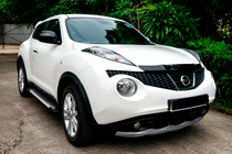 Nissan Juke 2010–2019 Zijsteps Allmond Grey (2 stuks, aluminium) foto 1