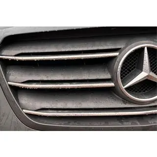 RVS sierlijsten voor grille (5 stuks) foto 3