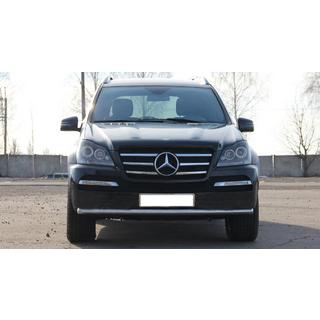 RVS frontbescherming ST008