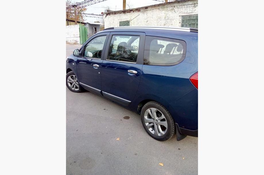 Dacia Lodgy 2012–2022 Raamomlijsting (4 stuks, RVS) Foto 6