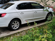 Peugeot 301 2012– RVS raamomlijsting 4 stuks, Carmos (zonder driehoeksruit) foto 1