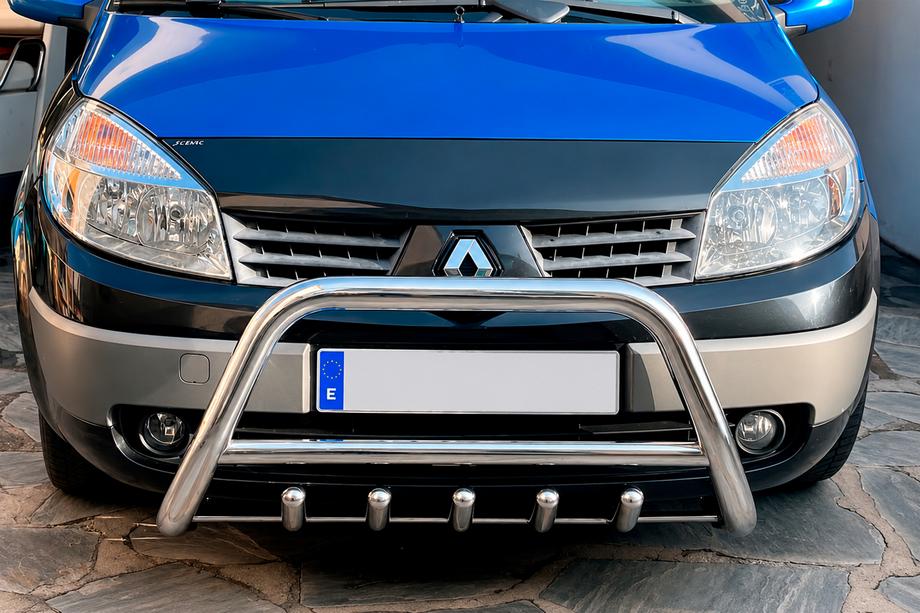 Renault Scenic/Grand 2003–2009 Bullbar WT003 (RVS) Foto 1