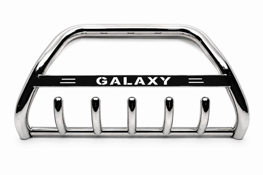 Ford Galaxy 1995–2006 Bullbar WT004 (RVS) Foto 1