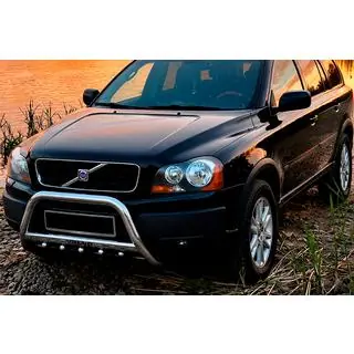 Bullbar WT004 (RVS)