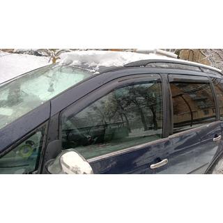 Raamomlijsting (4-delig, RVS) Seat Alhambra 1996–2010 foto 3