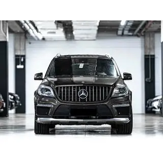 Radiatorgrille GT Panamericana (voor GL High) foto 1