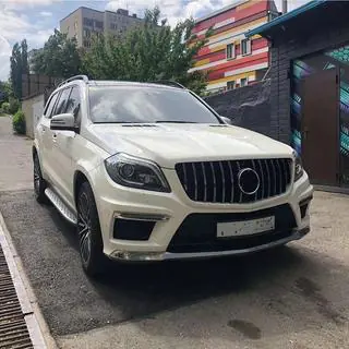 Radiatorgrille GT Panamericana (voor GL High) foto 4