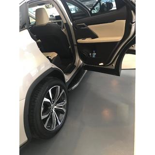 Zijsteps BlackLine (2 stuks) foto 2