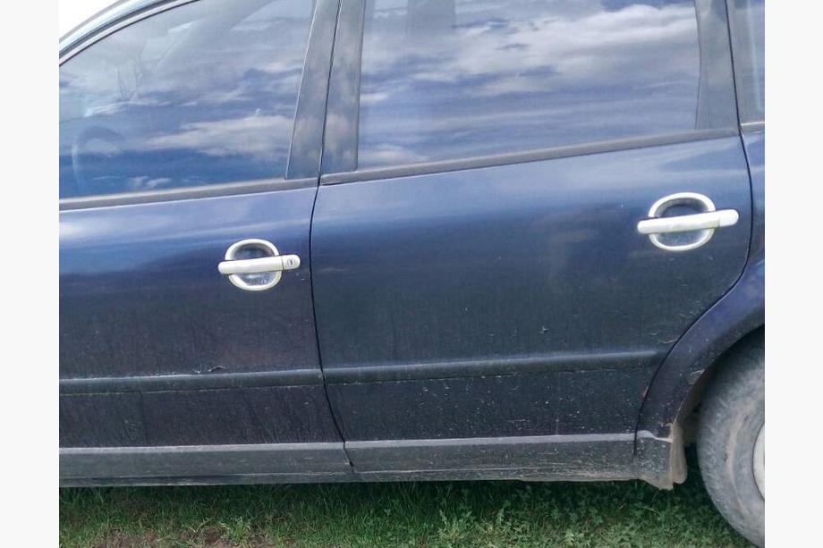 Volkswagen Passat B5 1997–2005 Deurgreepschalen (4 st., RVS) Foto 4