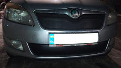 Skoda Fabia 2007–2014 Winterafdekking voor grille (2011-2014, bovenste) foto 2