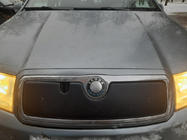 Skoda Fabia 2000–2007 Winterafdekking voor de grille Glanz foto 2