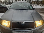 Skoda Fabia 2000–2007 Winterafdekking voor de grille Glanz foto 1