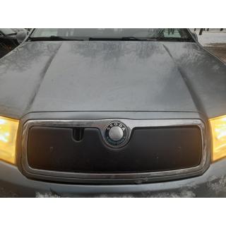 Winterafdekking voor de grille Skoda Fabia 2000–2007 foto 2