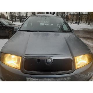 Winterafdekking voor de grille Skoda Fabia 2000–2007 foto 1