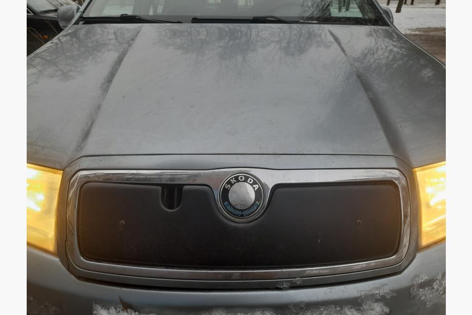 Skoda Fabia 2000–2007 Winterafdekking voor de grille Mat Foto 2