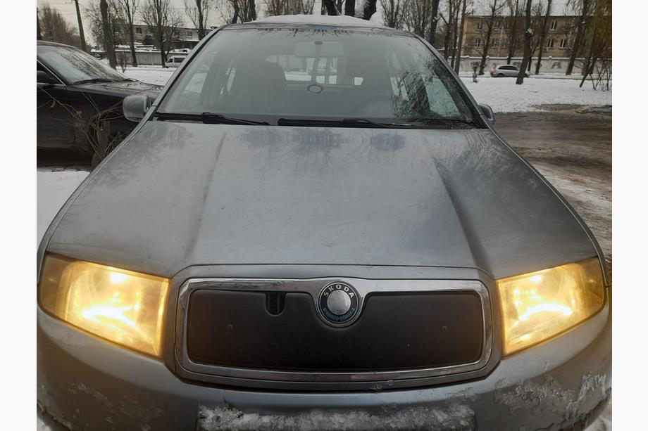 Skoda Fabia 2000–2007 Winterafdekking voor de grille Glanz Image
