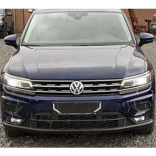 Grille sierlijsten 2016-2020 (set van 2, RVS) foto 1