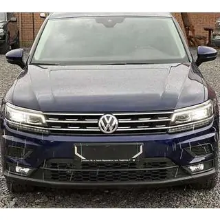 Grille sierlijsten 2016-2020 (set van 2, RVS) foto 1