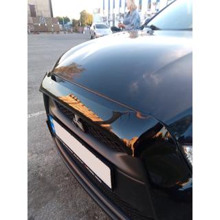 Motorkapdeflector (HIC) Mitsubishi ASX 2010–2023 foto 1