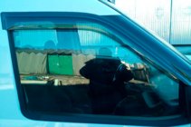 Fiat Doblo II 2010–2022 Raamwindschermen (2 st., HIC) foto 9