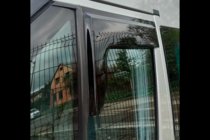 Ford Transit 2000–2014 Raamwindschermen (2 st., HIC) foto 10