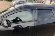 Opel Astra H 2004–2013 Raamwindschermen HB (set 4 stuks, HIC) foto 3