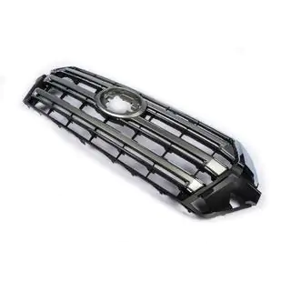 Radiateurgrille 2016-2021 (OEM-design) foto 1