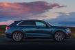 Review van de premium AWD-crossover Audi Q8 foto 10