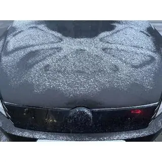 Wintergrille (EU/USA)