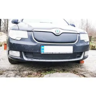 Winterafdekking voor radiatorrooster (boven, 2008-2013) foto 3