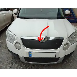 Winterafdekking voor radiateurgrille (boven, 2009-2013)