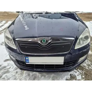 Winterafdekking voor grille (2010+, bovenste) Skoda Roomster 2006–2015 foto 3