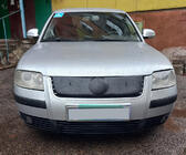 Volkswagen Passat B5 1997–2005 Wintergrille (2001-2005) Mat foto 2