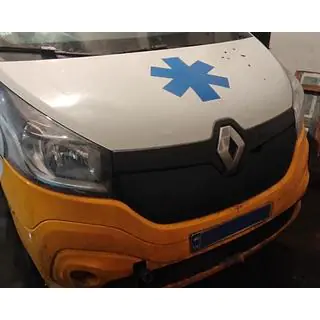 Winterafdekking voor radiateurgrille (2015-2020) foto 3