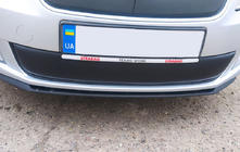 Skoda Fabia 2007–2014 Winterafdekking voor radiatorgrille (2011-2014, onder) Mat foto 1