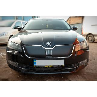 Winterafdekking voor radiateurgrille (2015-2019, bovenste) Skoda Superb 2015–2024 foto 2