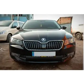 Winterafdekking voor grille (2015-2019, onder)