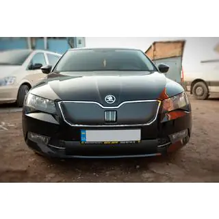 Winterafdekking voor grille (2015-2019, onder) foto 2