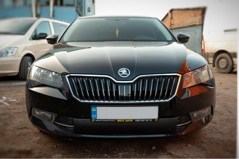 Skoda Superb 2015–2024 Winterafdekking voor grille (2015-2019, onder) Mat Image