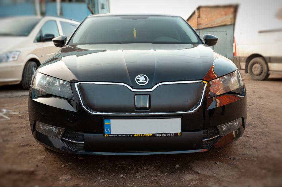 Skoda Superb 2015–2024 Winterafdekking voor grille (2015-2019, onder) Glanz Foto 2