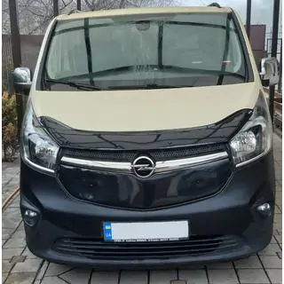 Winterafdekking voor de grille foto 1