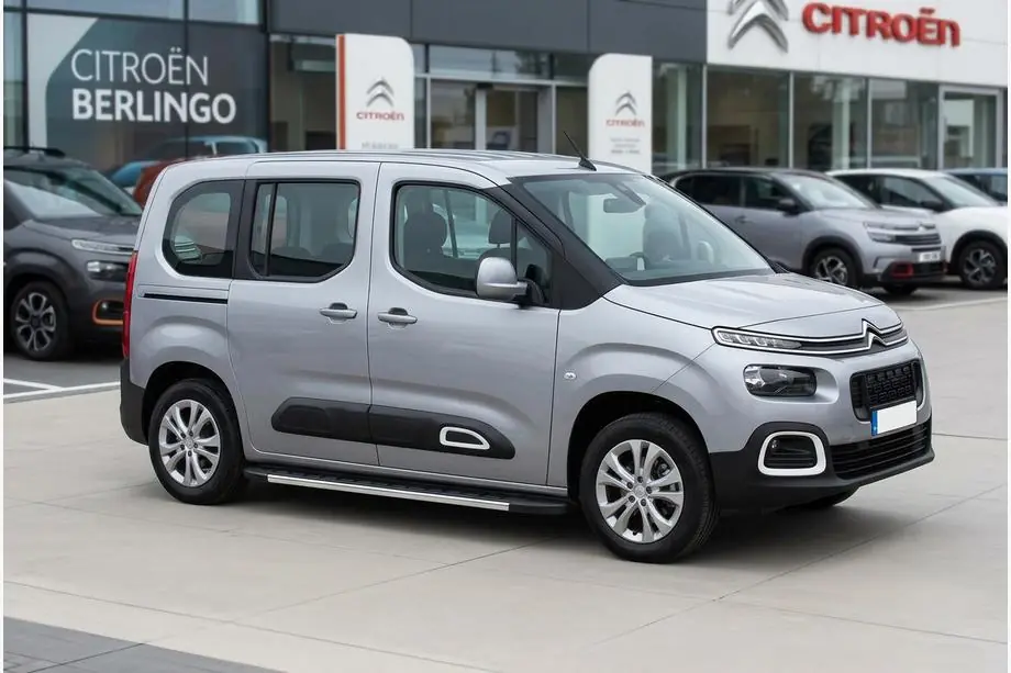 Citroen Berlingo/Multispace 2018– Duru zijtreden (set van 2, aluminium) Image