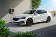Test van de Skoda Octavia modeljaar 2020 foto 4