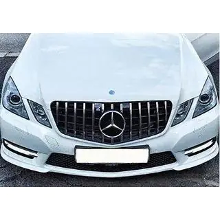 Radiateurgrille GT Panamericana (2009-2012) foto 3