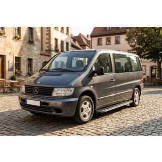 Bosphorus Grey zijsteps (set van 2, aluminium) Mercedes Vito W638 1996–2003 foto 1