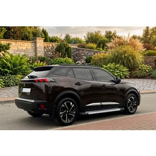 Side steps New Vision Grey (2 stuks, aluminium) Peugeot 3008 2016–2023 foto 1