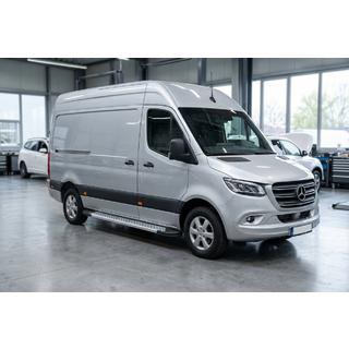 Side steps New Vision Grey (2 stuks, aluminium) foto 1